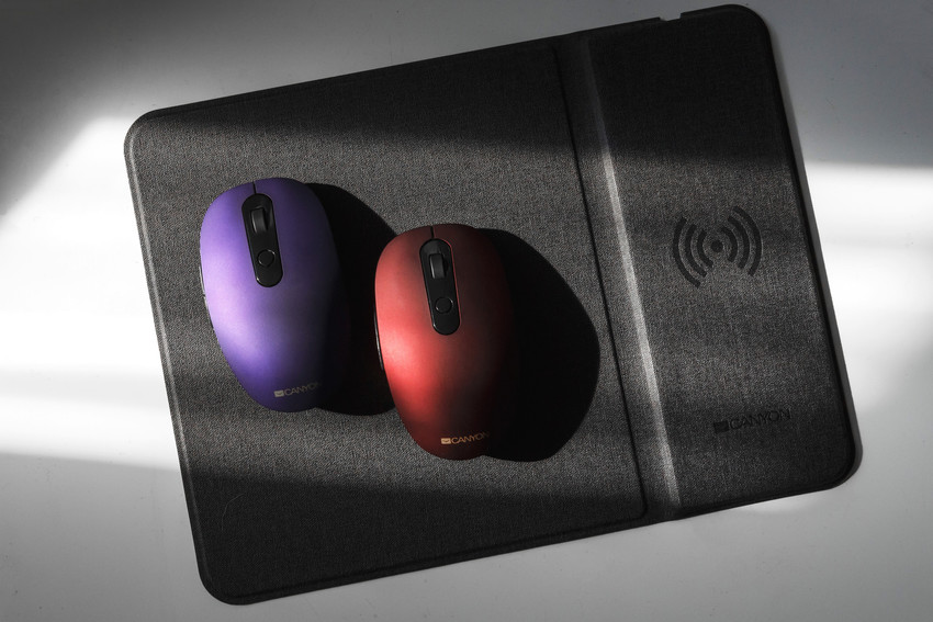 Step 6. Budget and Brands