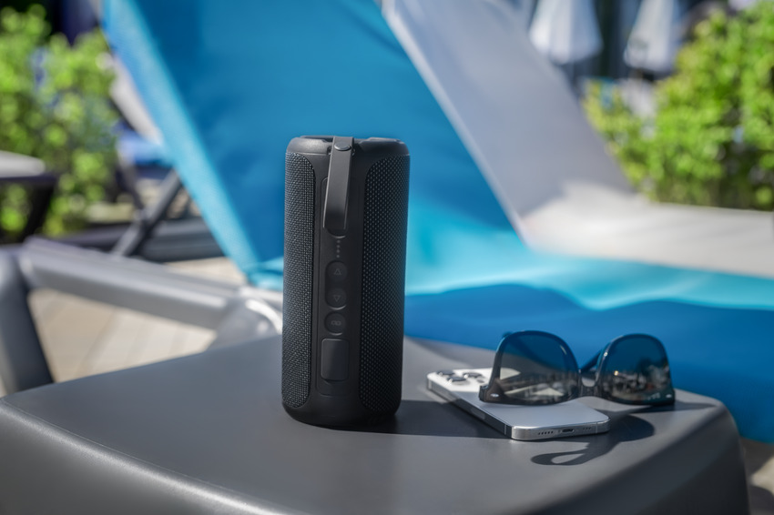 How to Choose the Right Party Speaker