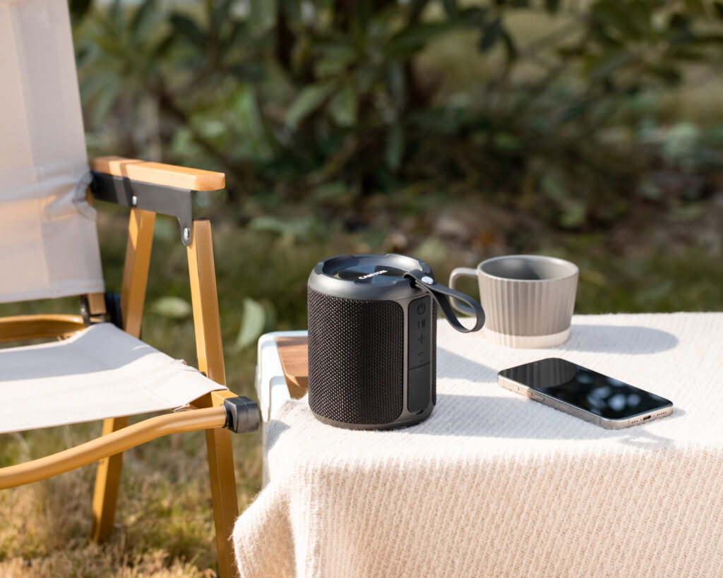 What a Party Speaker Is Built For