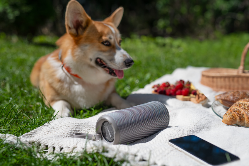The Case for a Portable Speaker Over a Fixed System