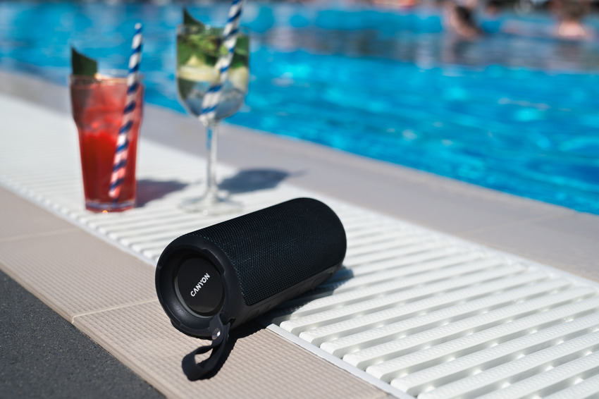 How to Choose a Protected Speaker for Your Needs