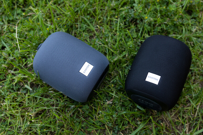 TWS: Two Speakers for the Price of Half of One Premium Model