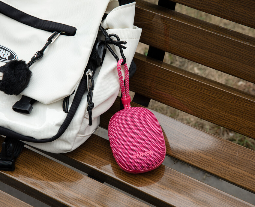 How to Choose a Protected Speaker for Your Needs
